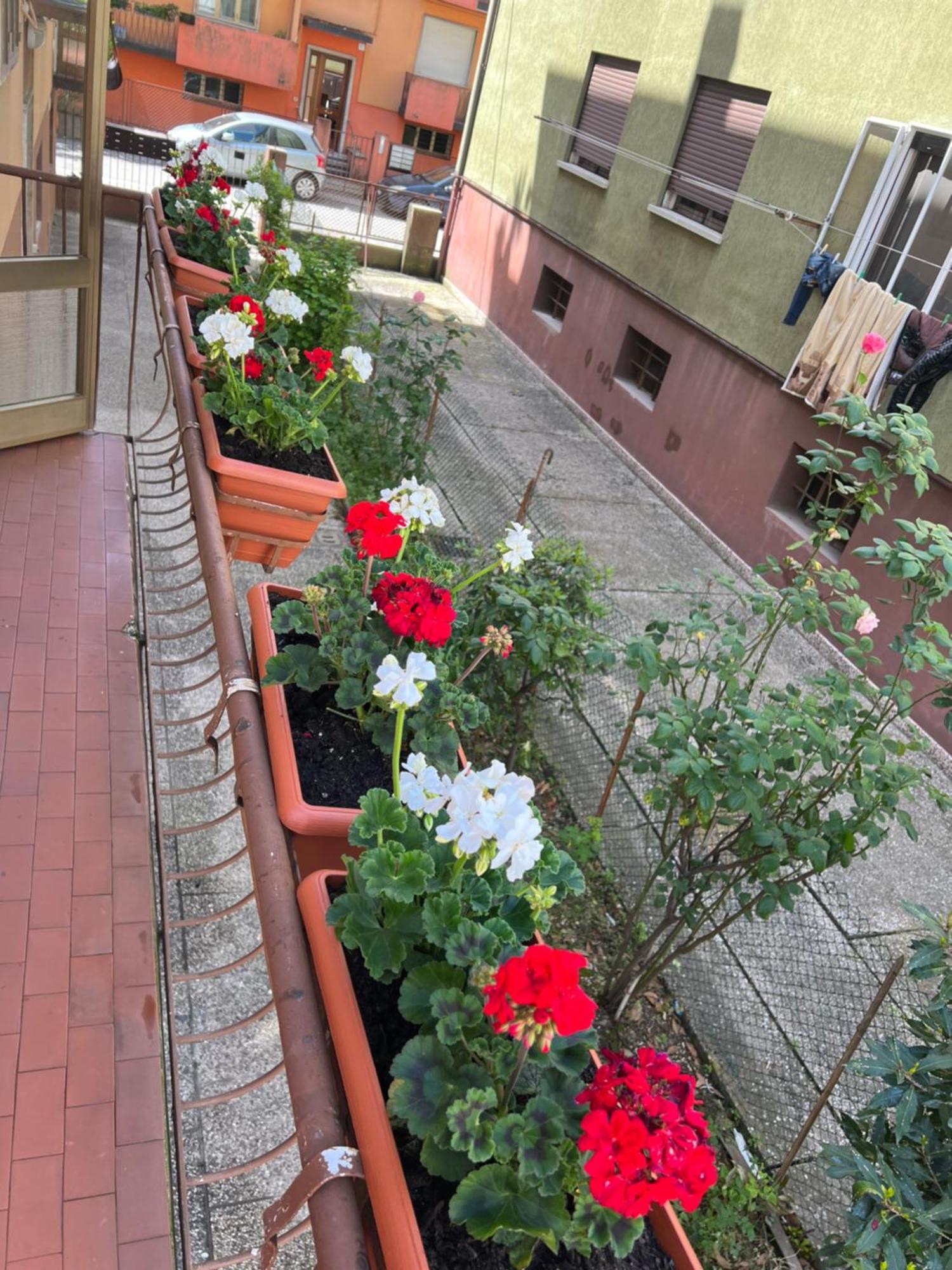Appartement Casa Di Sara
